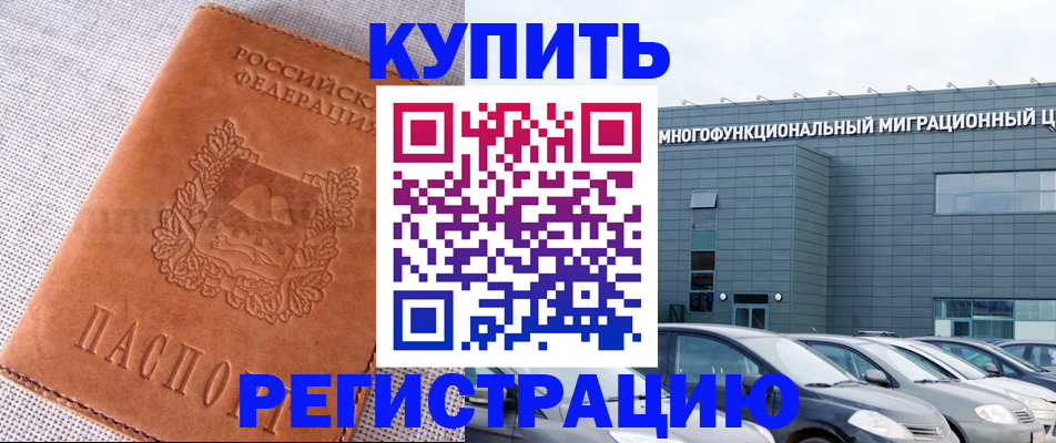 прописка законно в Александровске